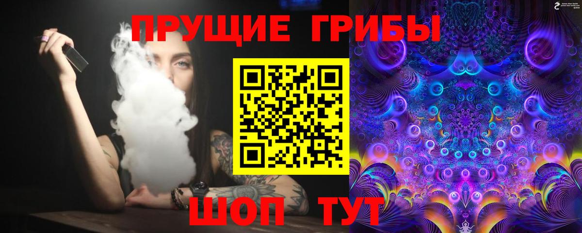 Псилоцибиновые грибы Psilocybe  Вход с VPN  Гагарин 